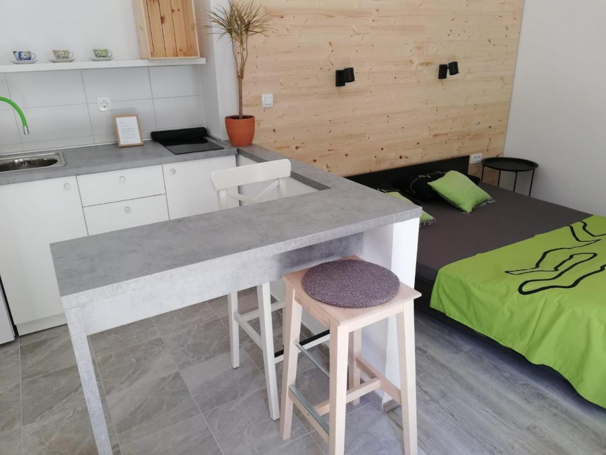 Studio Apartman Fleiss Apartment Samobor Exterior photo