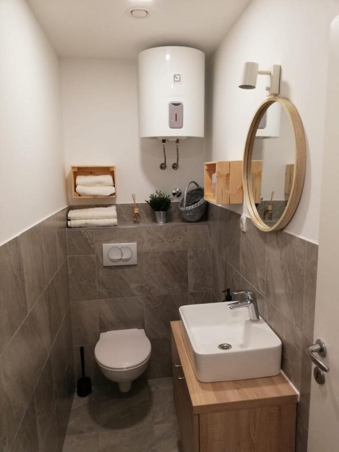 Studio Apartman Fleiss Apartment Samobor Exterior photo